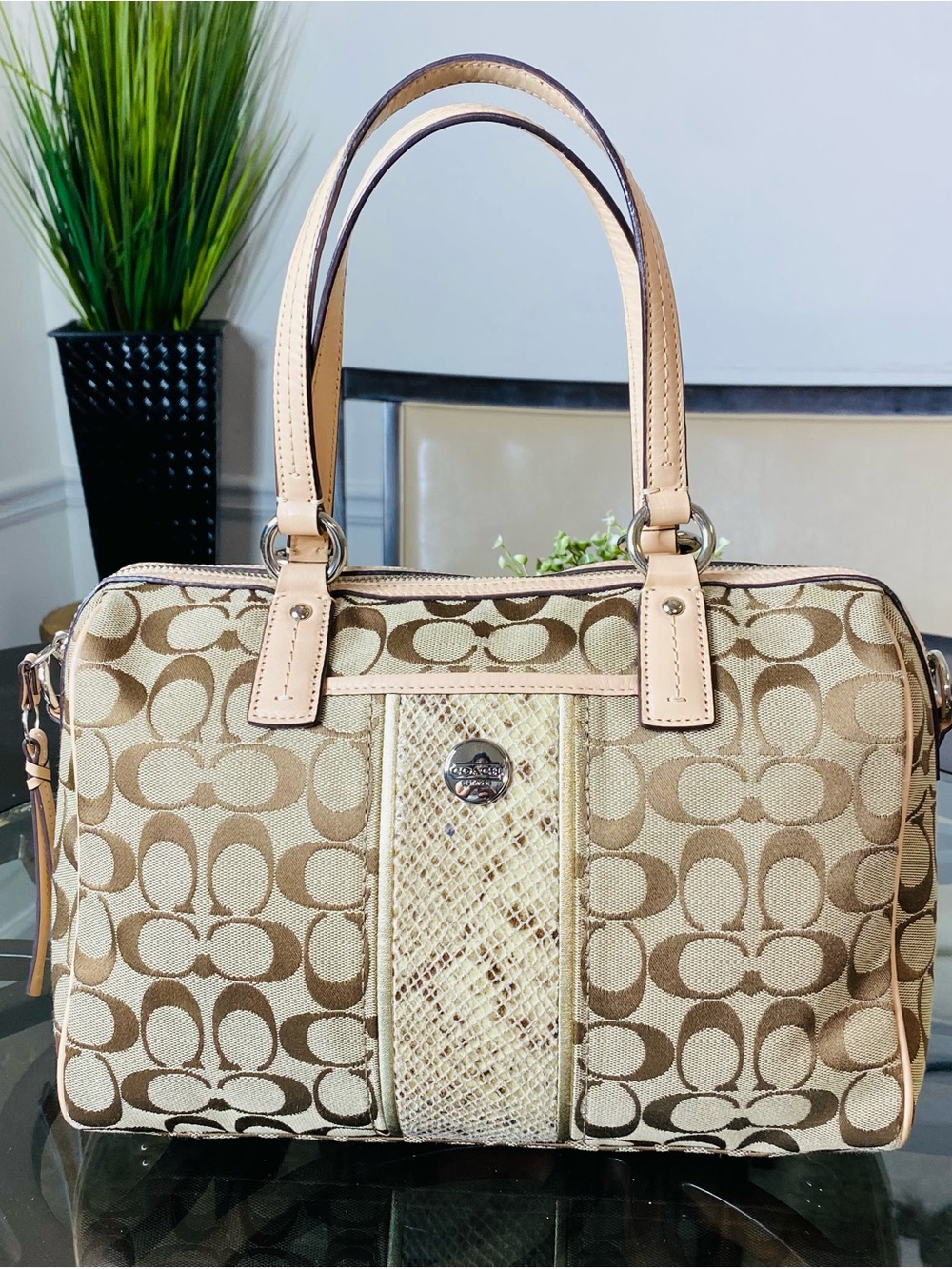 COACH Signature Khaki Jacquard Python Stripe Satchel Handbag F24884 - Picture 1 of 13